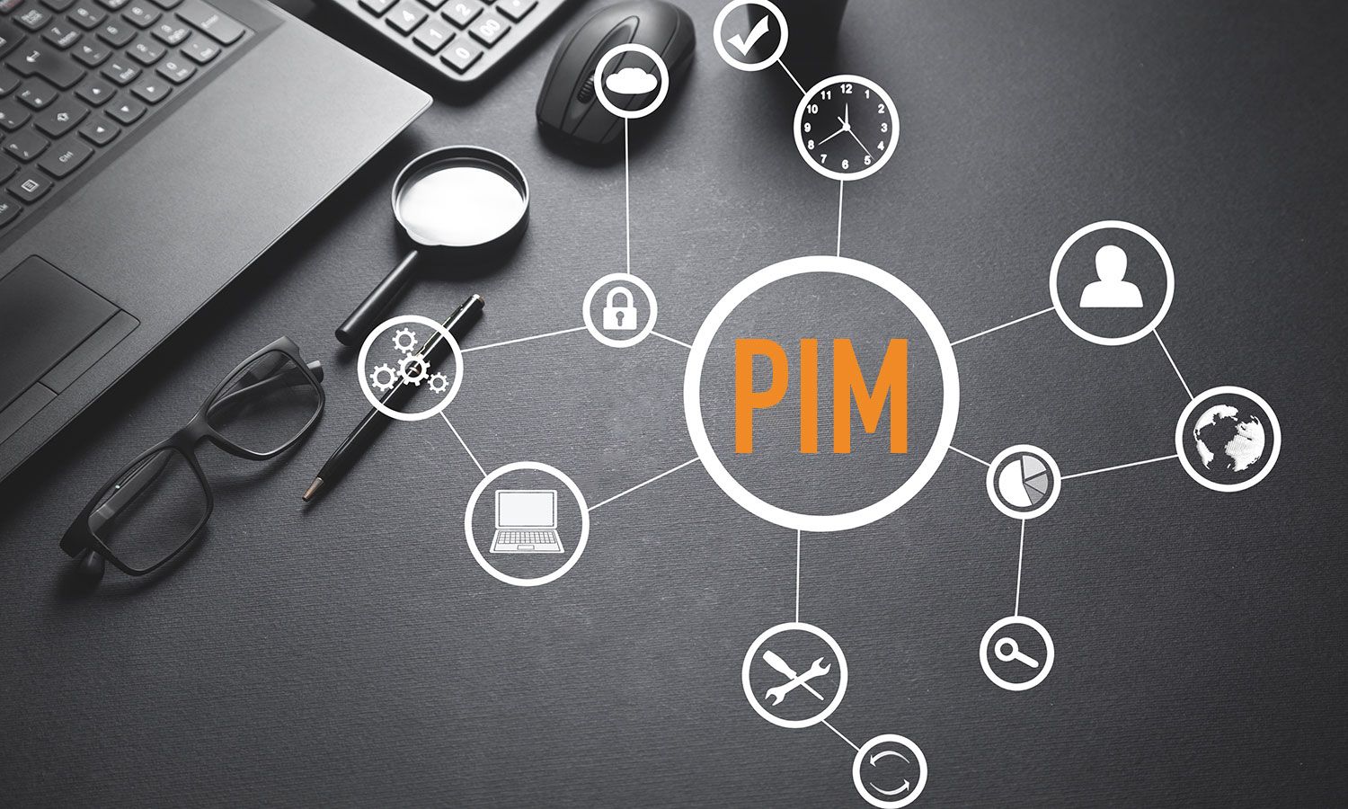 PIM-system 